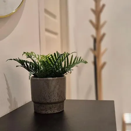 Luxurious * 卑爾根